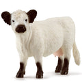 Schleich Galloway Cow toy figure – Model #13960