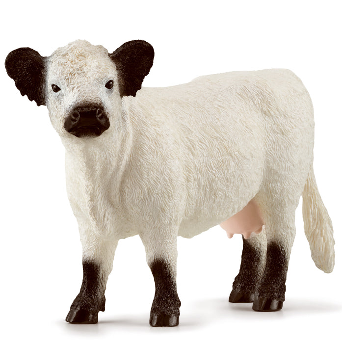 Schleich Galloway Cow toy figure – Model #13960