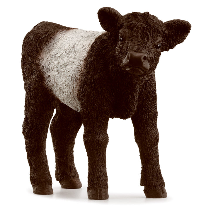 Schleich Galloway Calf toy figure – Model #13969