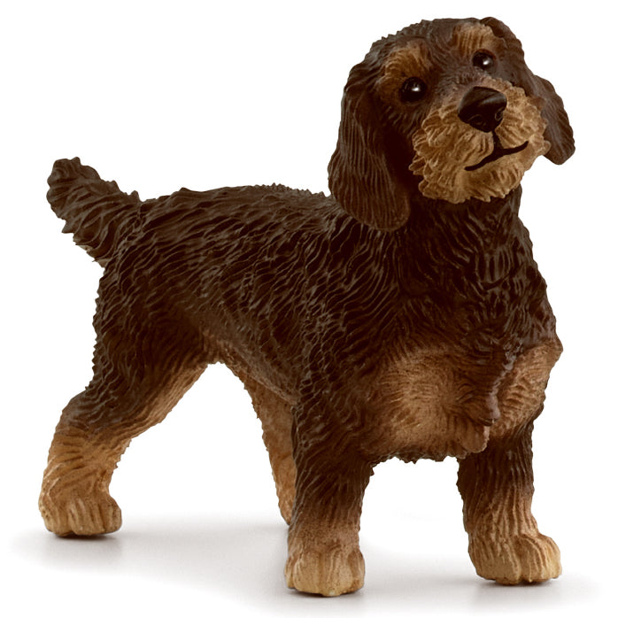 Schleich Wire Haired Dachshund toy figure – Model #13972