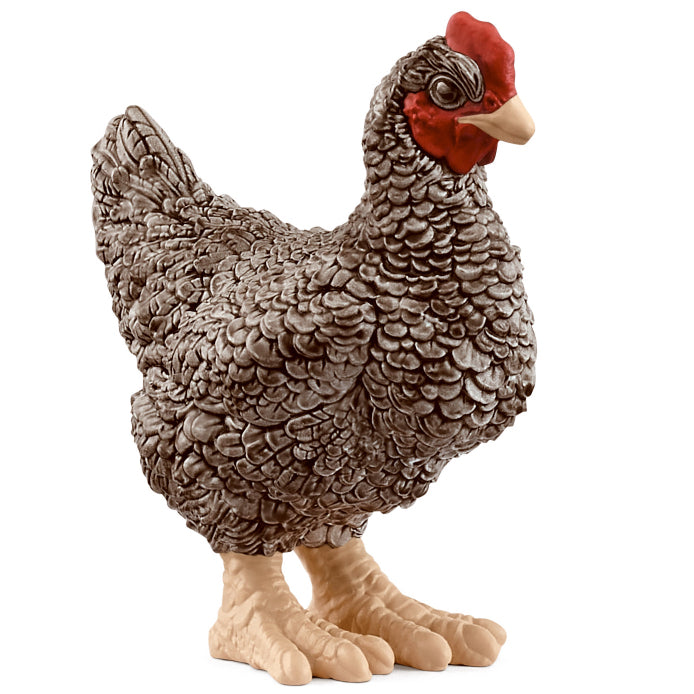Schleich Chicken Plymouth Rock toy figure – Model #13997