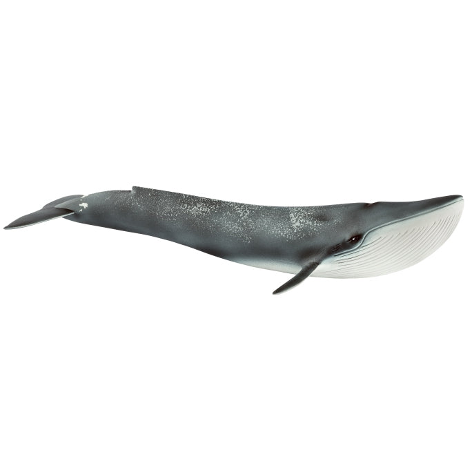 Schleich F Blue Whale toy figure – Model #14806