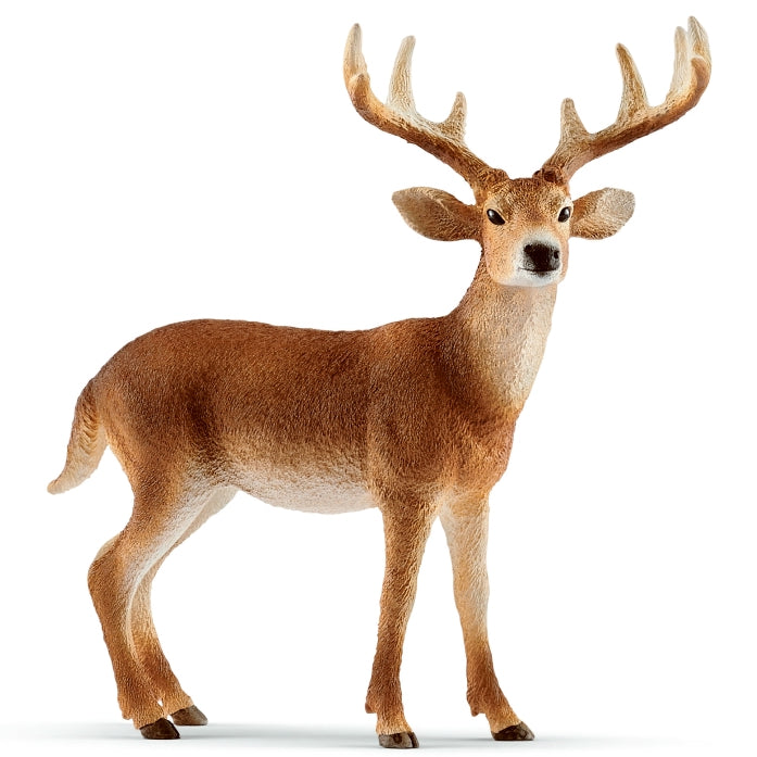 Schleich White Tailed Buck toy figure – Model #14818