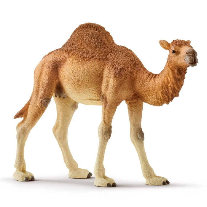 Schleich Dromedary toy figure – Model #14832