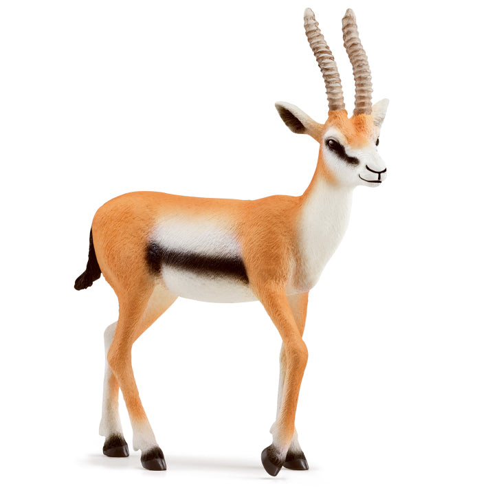 Schleich Thomson Gazelle toy figure – Model #14861