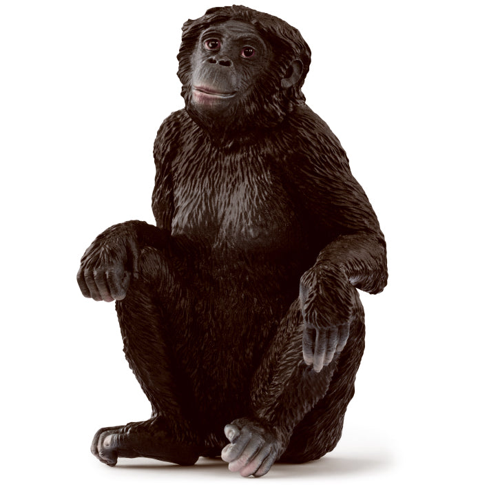 Schleich Bonobo Female toy figure – Model #14875