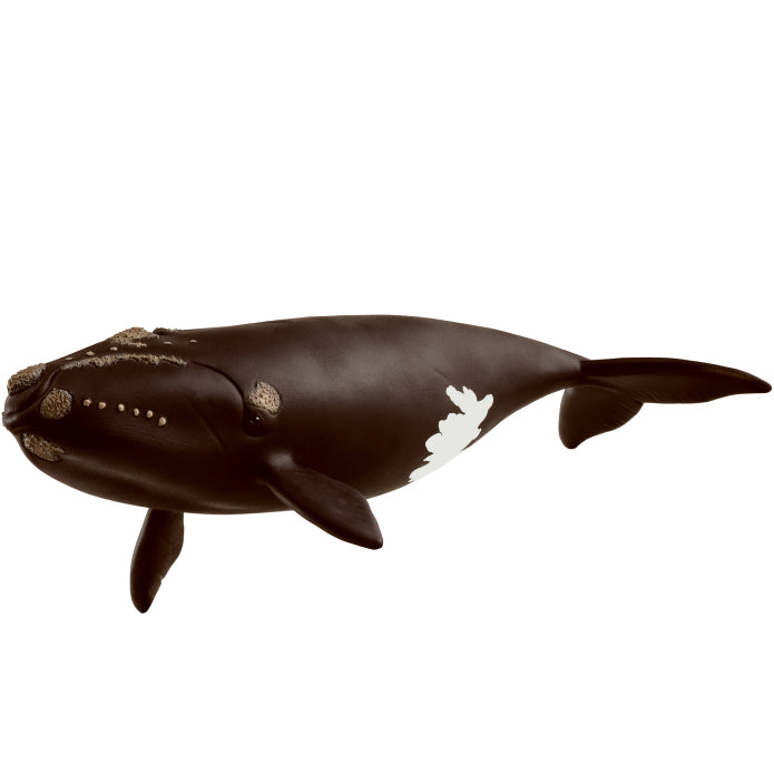 Schleich F North Atlantic Right Whale toy figure – Model #14878