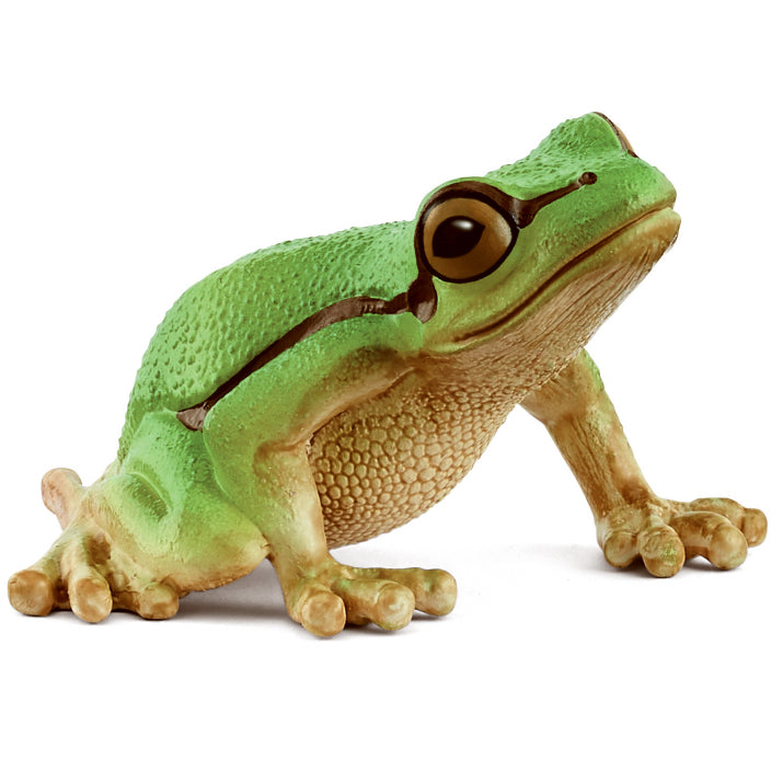 Schleich European Tree Frog toy figure – Model #14882