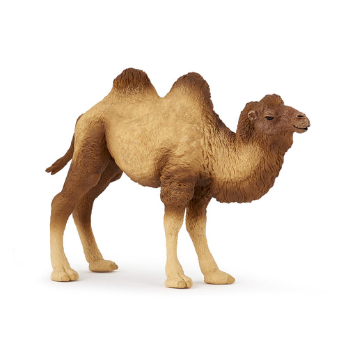 Papo Bactrian Camel toy figure – Model #50129