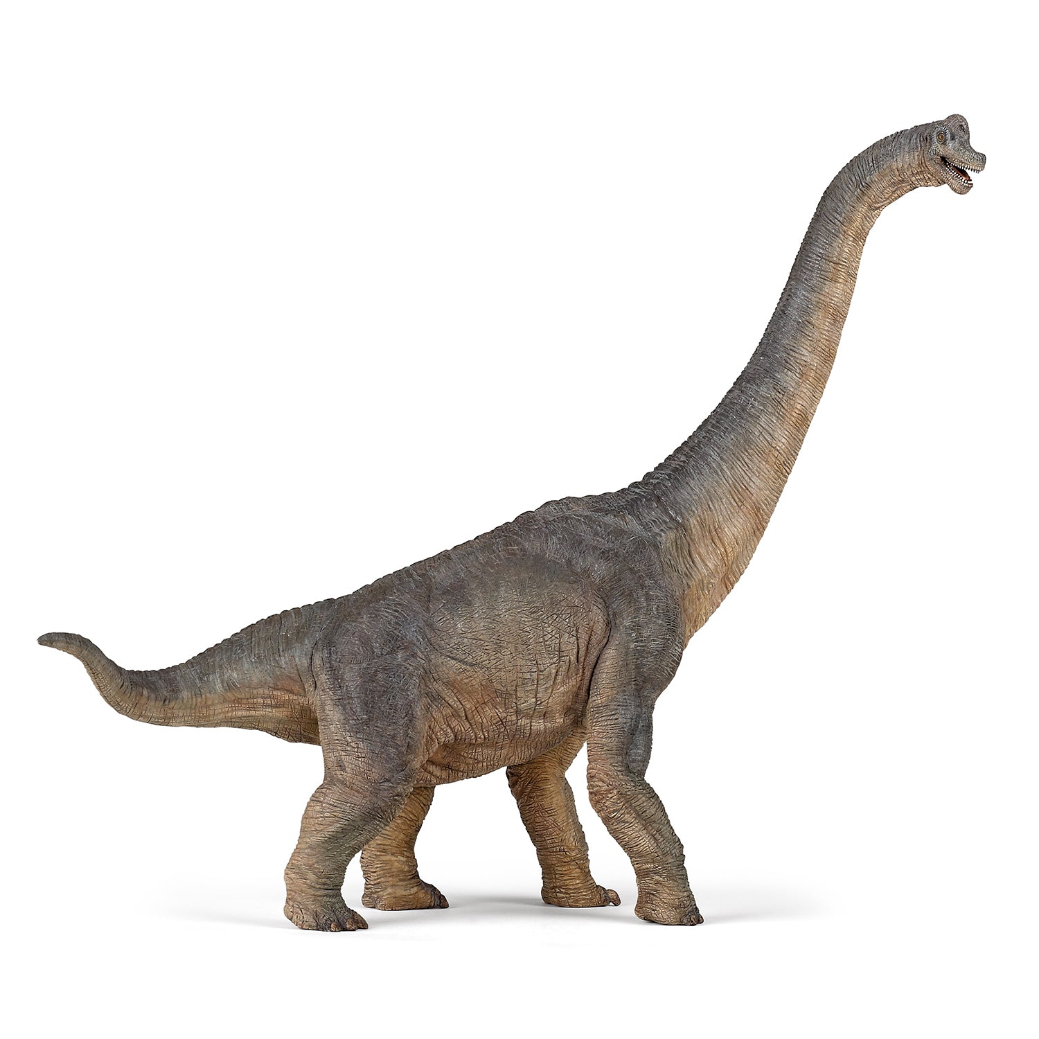 Papo Brachiosaurus Dinosaur toy figure – Model #55030