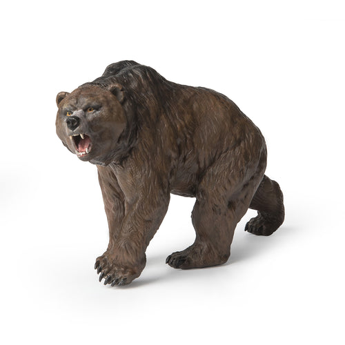Papo Cave Bear toy figure – Model #55066