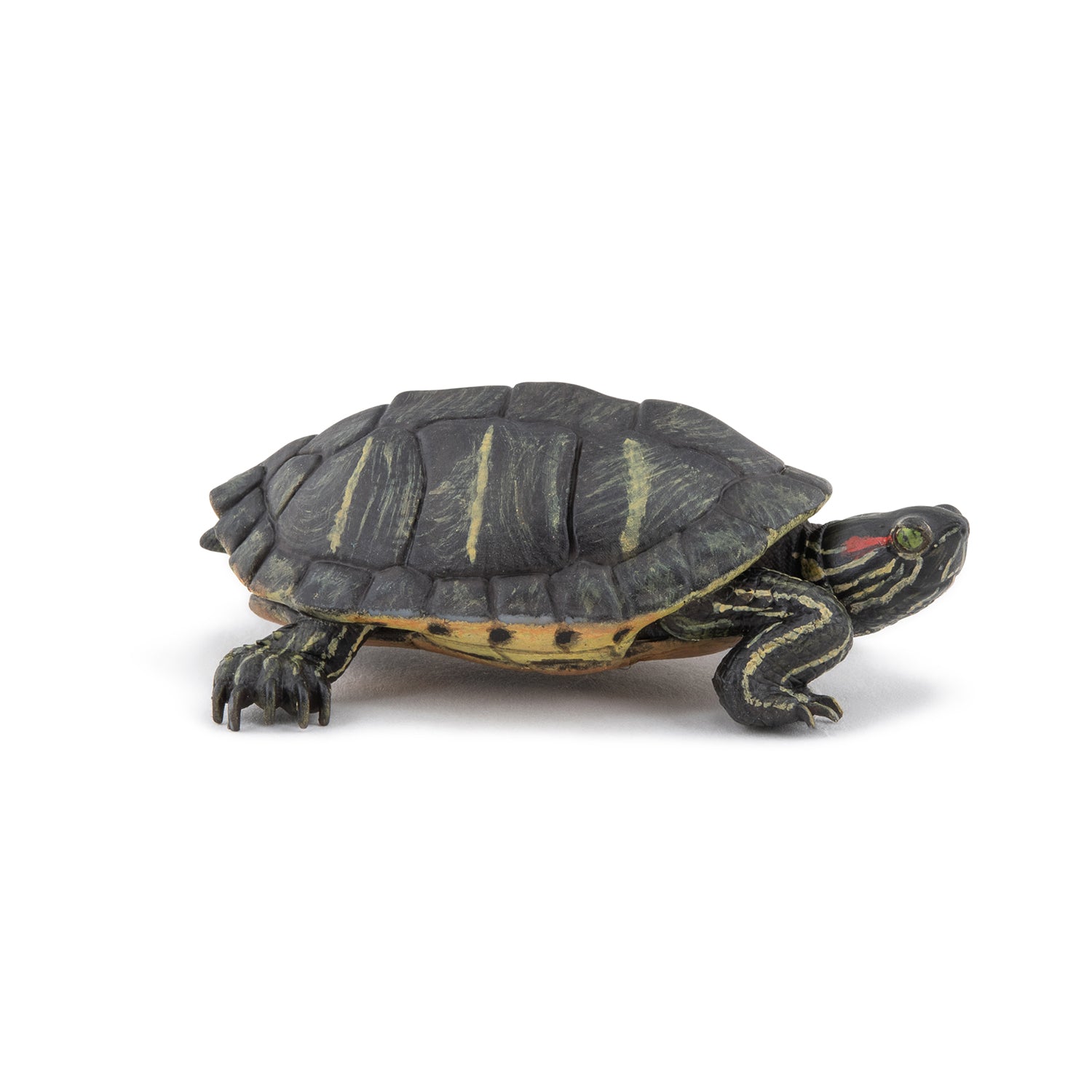 Papo Florida Tortoise toy figure – Model #50309