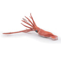 Papo Giant Squid toy figure – Model #56058