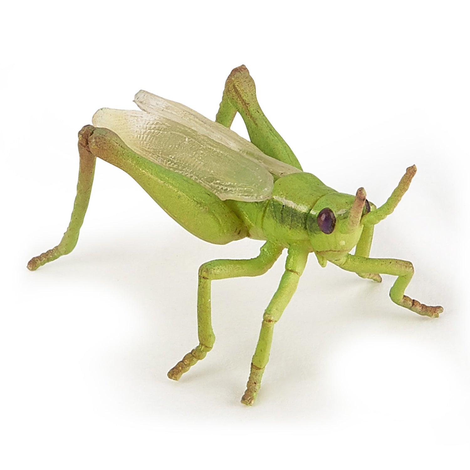 Papo Grasshopper toy figure – Model #50268