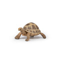 Papo Hermann's Tortoise toy figure – Model #50264