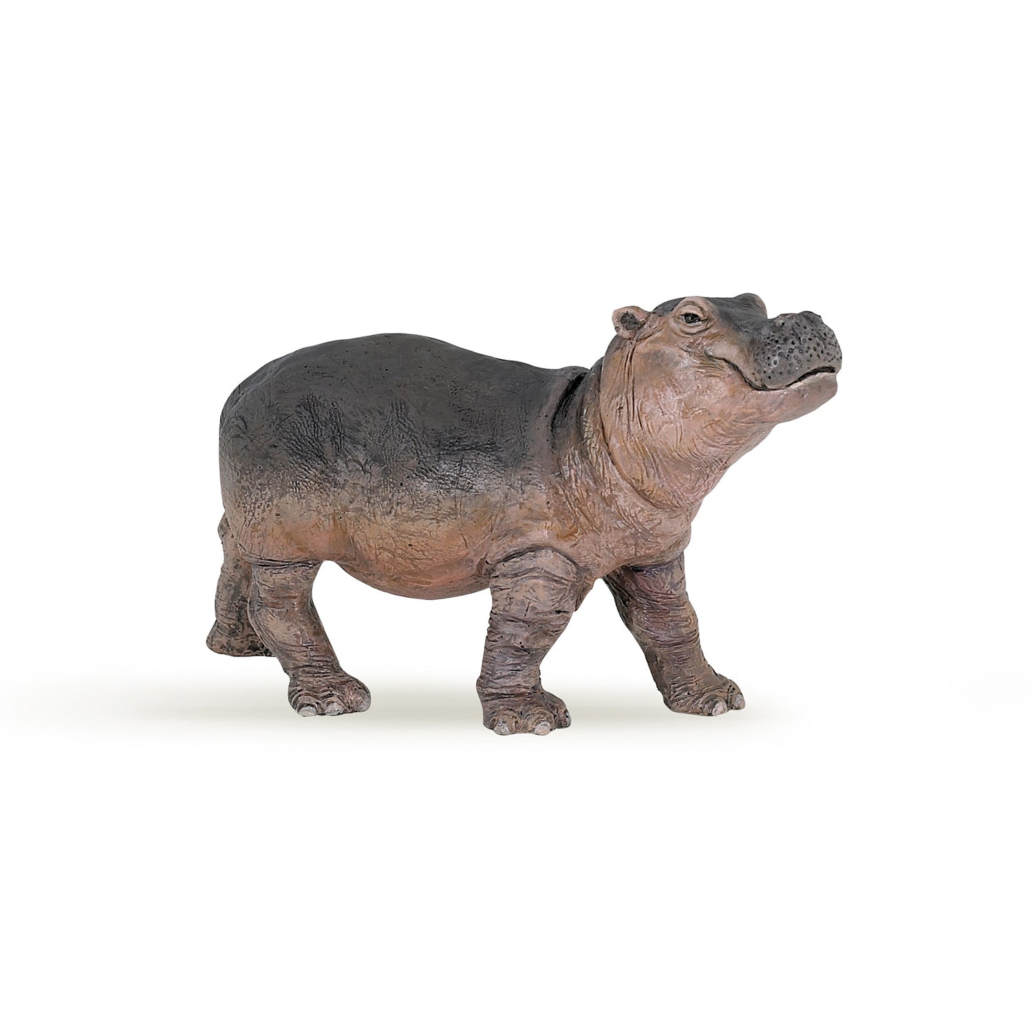 Papo Hippopotamus Calf toy figure – Model #55052
