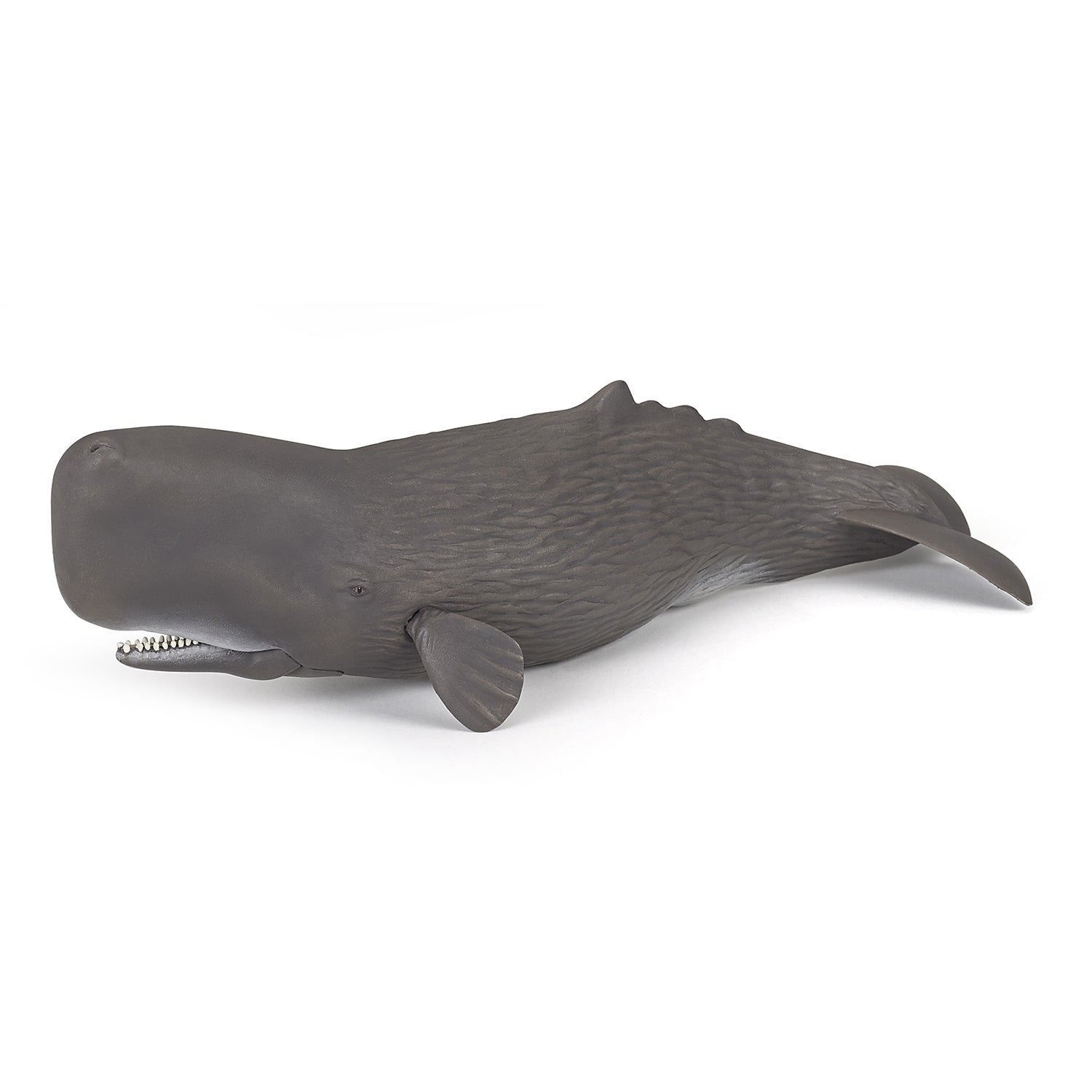 Papo Sperm Whale toy figure – Model #56036