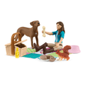 Schleich Lisa's Picnic toy playset – Model #42746