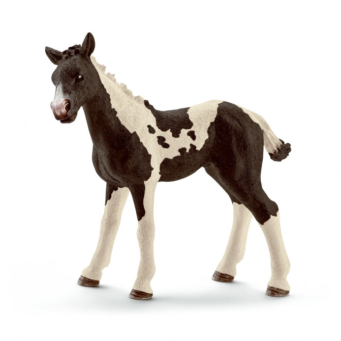 Schleich Pinto Foal toy figure – Model #13803