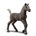 Schleich Rocky Foal Darcy toy figure – Model #81460