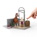 Schleich Sofia's Horse Wash toy playset – Model #42792